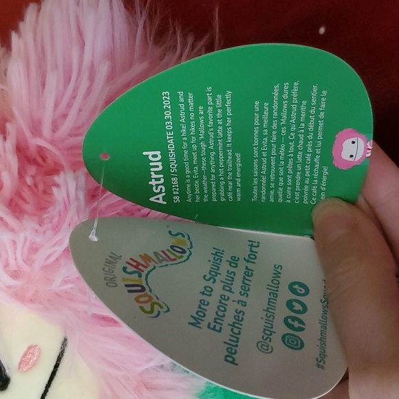 Squishmallow Astrud the Peppermint Yeti 8" - Picture 4 of 4